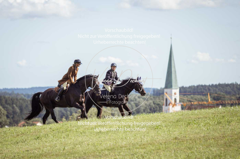 Gundelsdorf1_2025_313 Gundelsdorf1_2025_313