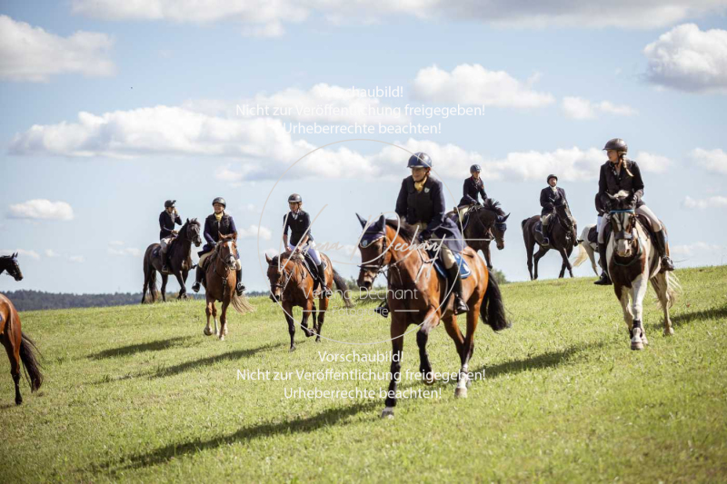 Gundelsdorf1_2025_314 Gundelsdorf1_2025_314