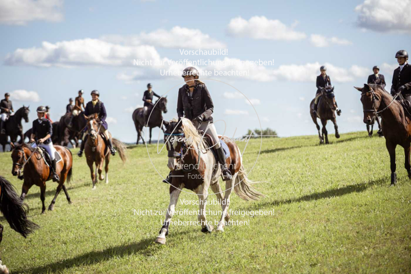 Gundelsdorf1_2025_315 Gundelsdorf1_2025_315