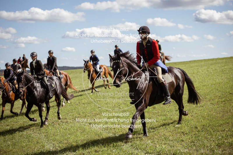 Gundelsdorf1_2025_316 Gundelsdorf1_2025_316