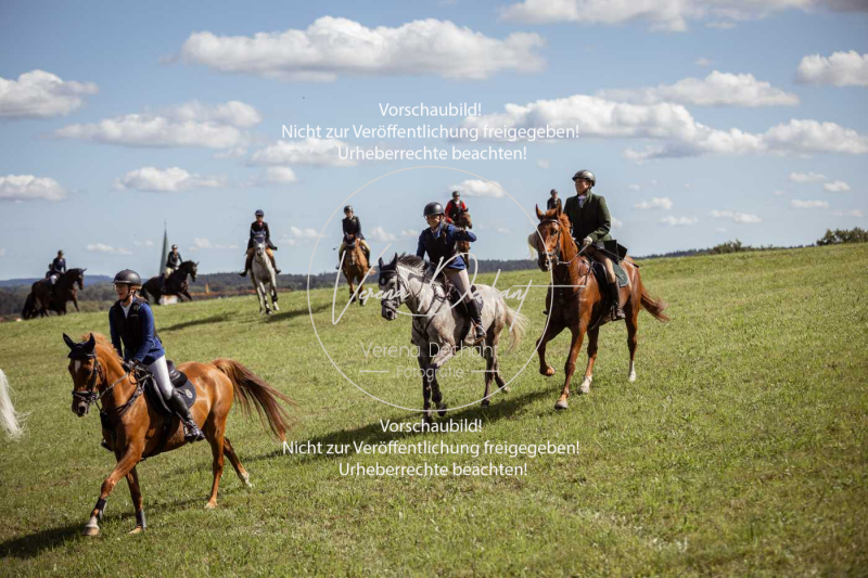 Gundelsdorf1_2025_317 Gundelsdorf1_2025_317