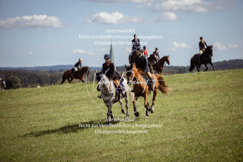 Gundelsdorf1_2025_318 Gundelsdorf1_2025_318