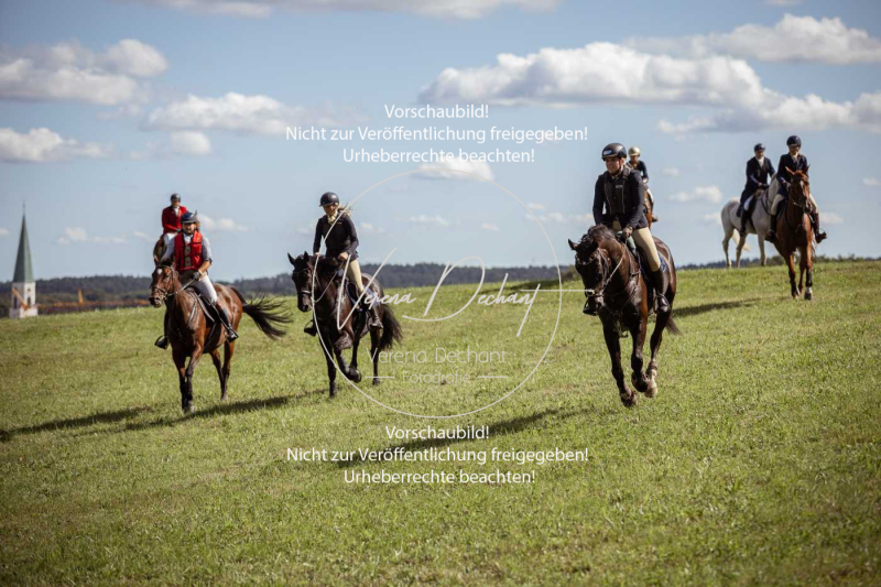 Gundelsdorf1_2025_319 Gundelsdorf1_2025_319