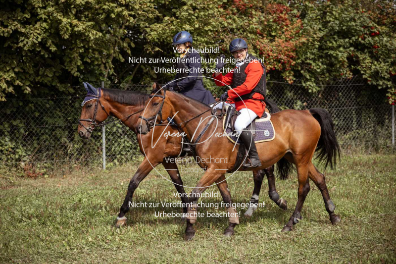 Gundelsdorf1_2025_32 Gundelsdorf1_2025_32