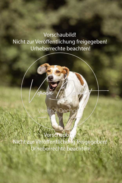 Gundelsdorf1_2025_33 Gundelsdorf1_2025_33