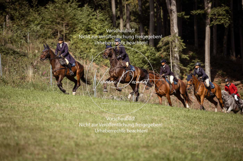 Gundelsdorf1_2025_34 Gundelsdorf1_2025_34