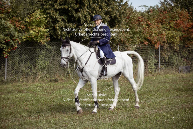 Gundelsdorf1_2025_35 Gundelsdorf1_2025_35