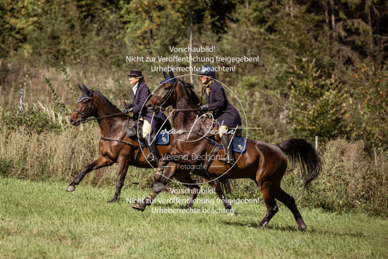 Gundelsdorf1_2025_36 Gundelsdorf1_2025_36