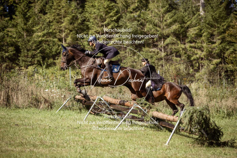 Gundelsdorf1_2025_37 Gundelsdorf1_2025_37