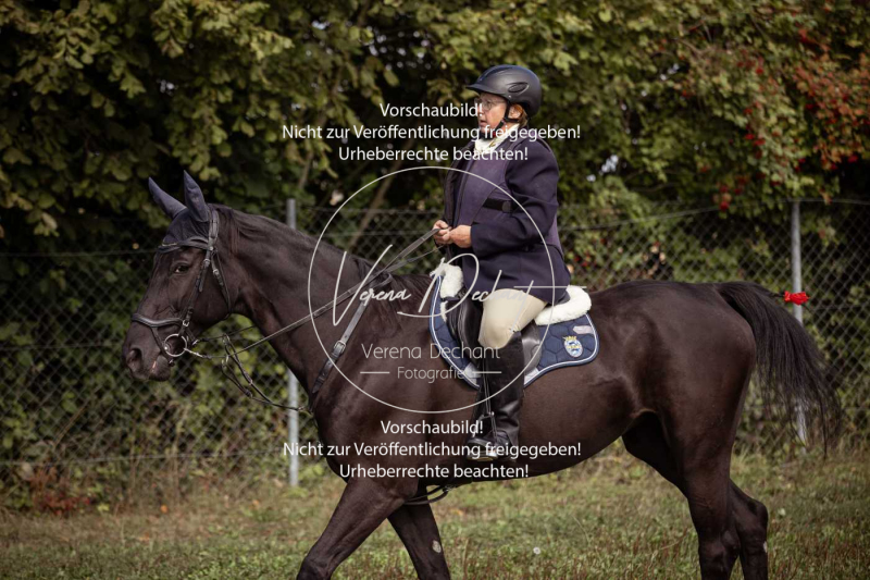 Gundelsdorf1_2025_38 Gundelsdorf1_2025_38