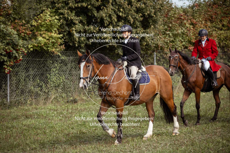 Gundelsdorf1_2025_39 Gundelsdorf1_2025_39