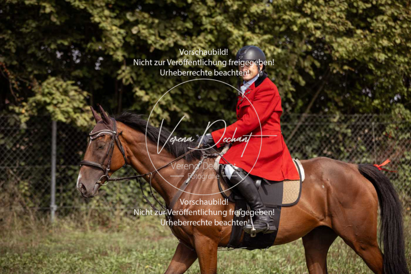 Gundelsdorf1_2025_4 Gundelsdorf1_2025_4