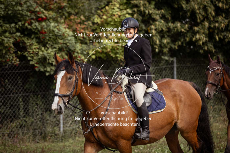 Gundelsdorf1_2025_40 Gundelsdorf1_2025_40