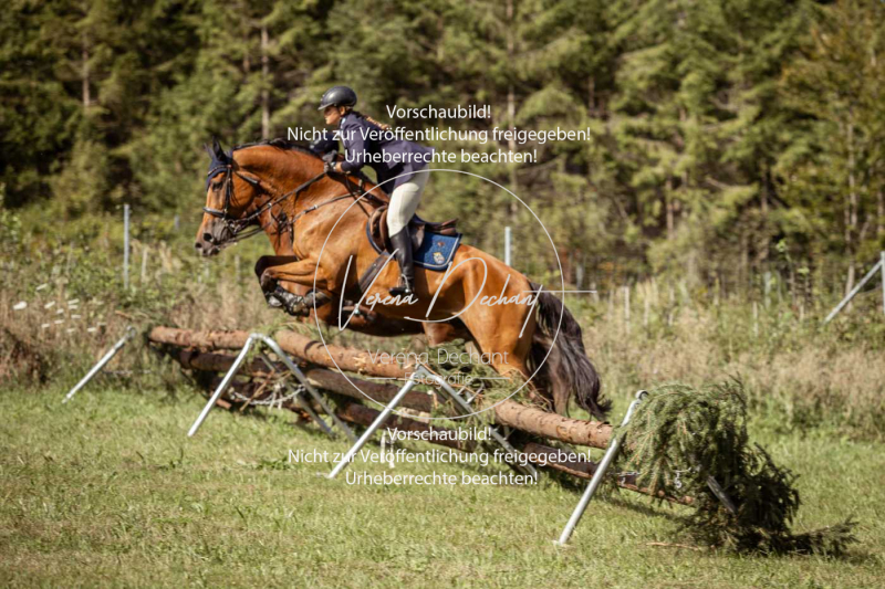 Gundelsdorf1_2025_41 Gundelsdorf1_2025_41