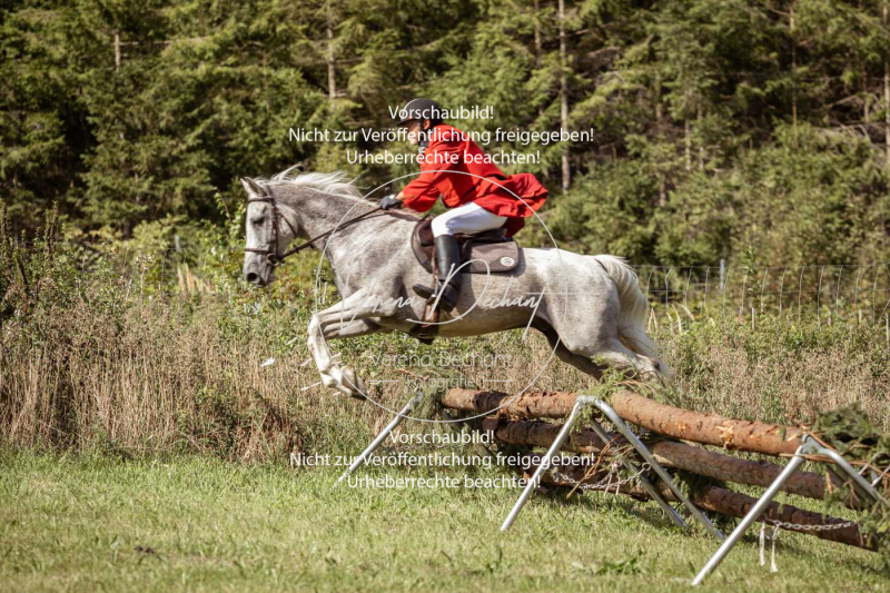 Gundelsdorf1_2025_44 Gundelsdorf1_2025_44