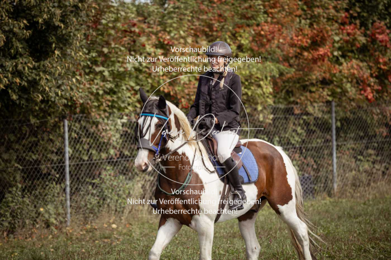 Gundelsdorf1_2025_45 Gundelsdorf1_2025_45