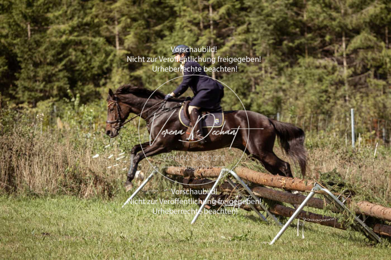 Gundelsdorf1_2025_46 Gundelsdorf1_2025_46