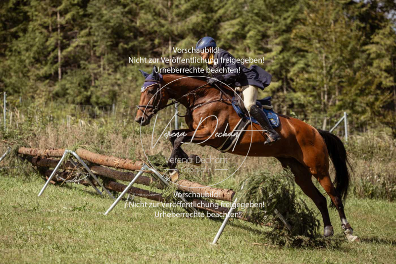 Gundelsdorf1_2025_47 Gundelsdorf1_2025_47