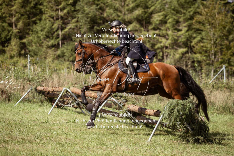 Gundelsdorf1_2025_48 Gundelsdorf1_2025_48