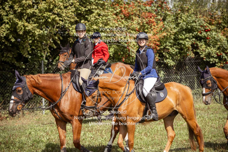 Gundelsdorf1_2025_49 Gundelsdorf1_2025_49