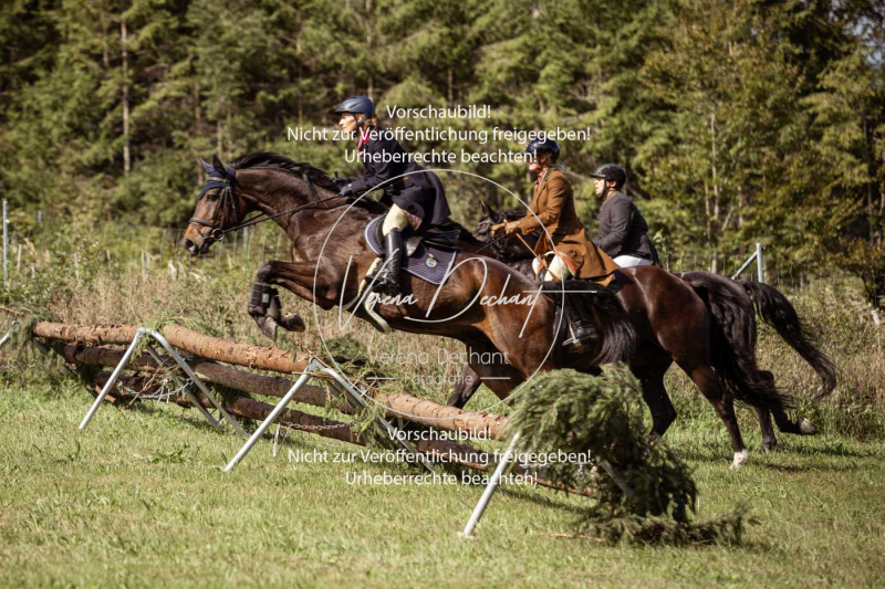 Gundelsdorf1_2025_51 Gundelsdorf1_2025_51