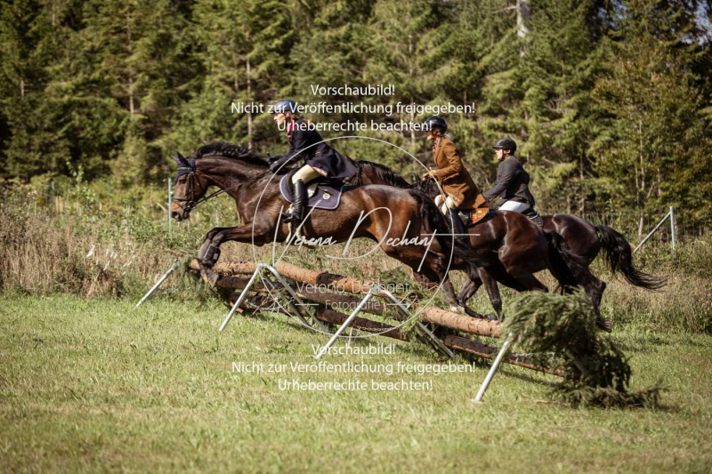 Gundelsdorf1_2025_52 Gundelsdorf1_2025_52