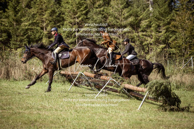 Gundelsdorf1_2025_54 Gundelsdorf1_2025_54