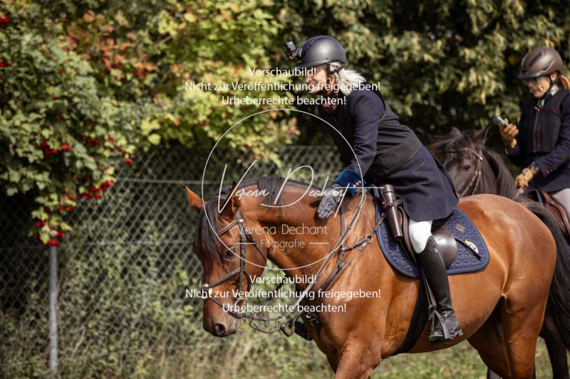 Gundelsdorf1_2025_55 Gundelsdorf1_2025_55