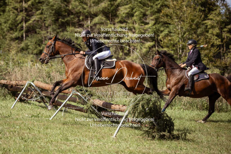 Gundelsdorf1_2025_56 Gundelsdorf1_2025_56