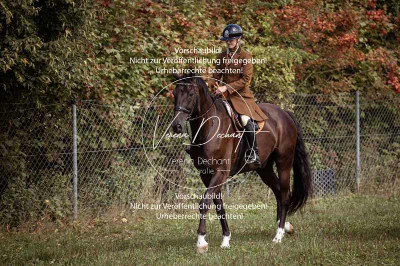 Gundelsdorf1_2025_57 Gundelsdorf1_2025_57