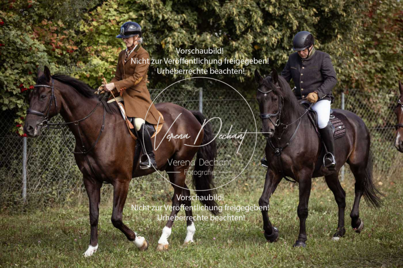 Gundelsdorf1_2025_58 Gundelsdorf1_2025_58