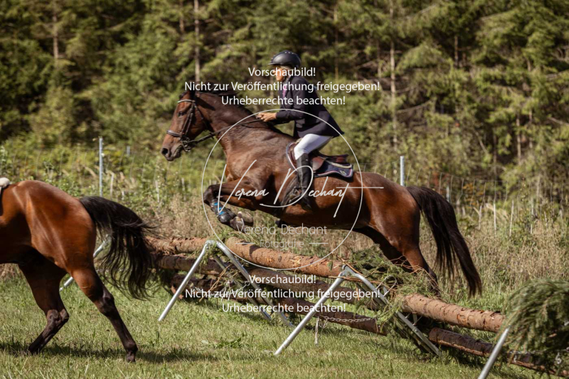 Gundelsdorf1_2025_59 Gundelsdorf1_2025_59