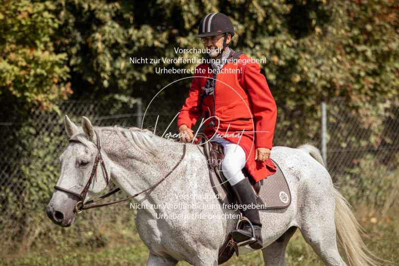 Gundelsdorf1_2025_6 Gundelsdorf1_2025_6