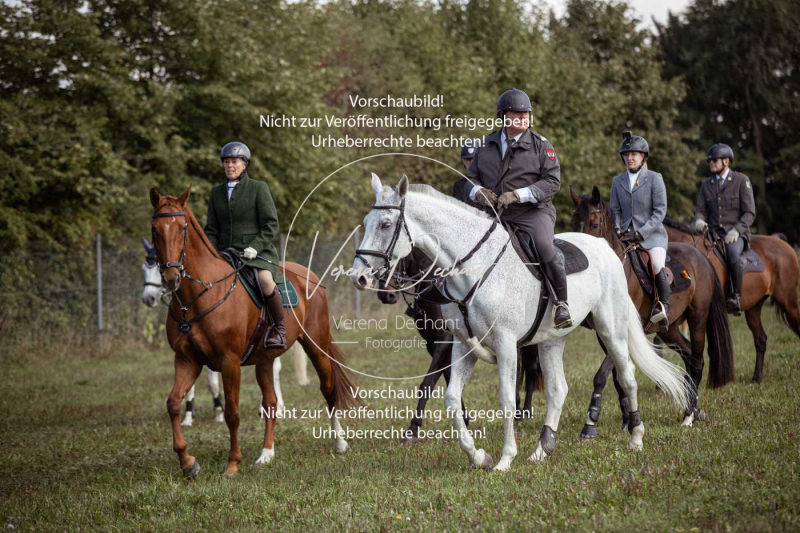 Gundelsdorf1_2025_60 Gundelsdorf1_2025_60