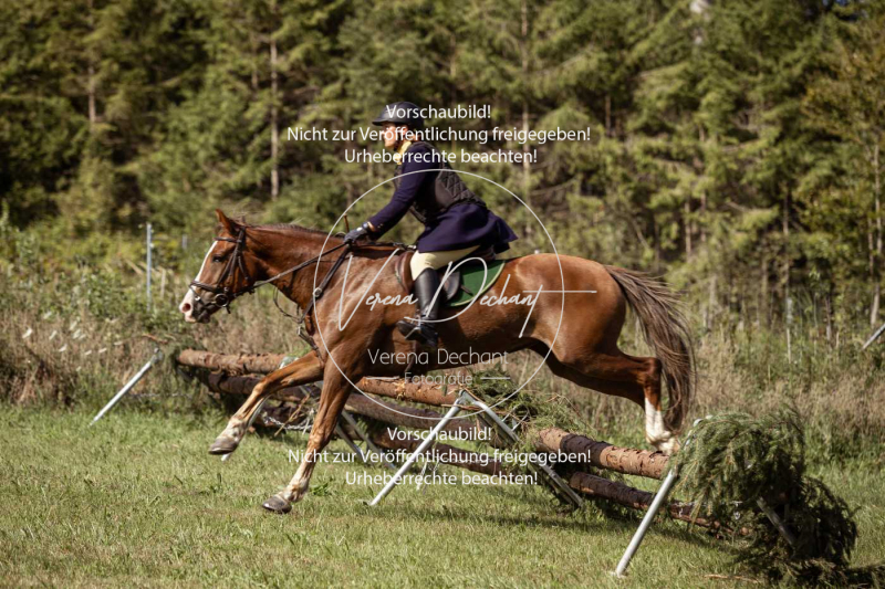 Gundelsdorf1_2025_61 Gundelsdorf1_2025_61