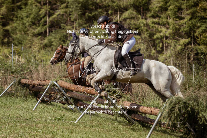 Gundelsdorf1_2025_62 Gundelsdorf1_2025_62