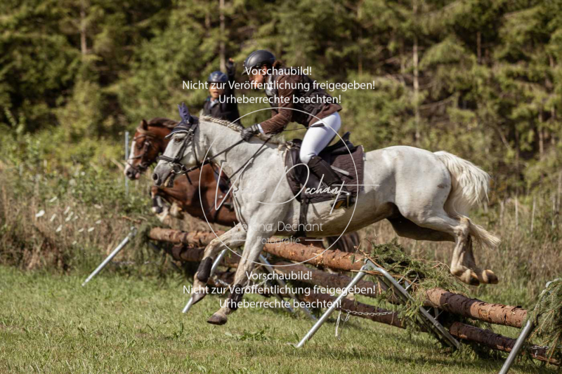 Gundelsdorf1_2025_64 Gundelsdorf1_2025_64