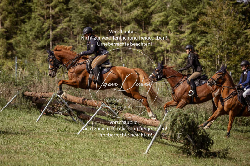 Gundelsdorf1_2025_65 Gundelsdorf1_2025_65