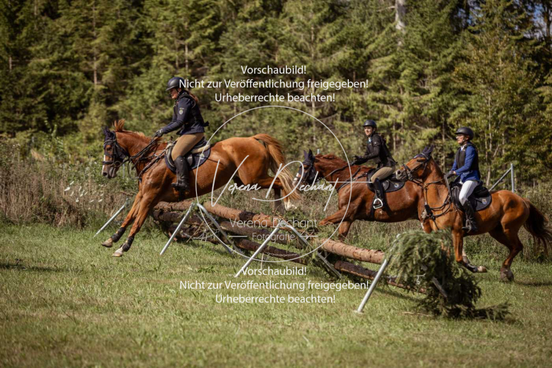 Gundelsdorf1_2025_66 Gundelsdorf1_2025_66