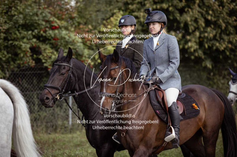 Gundelsdorf1_2025_67 Gundelsdorf1_2025_67