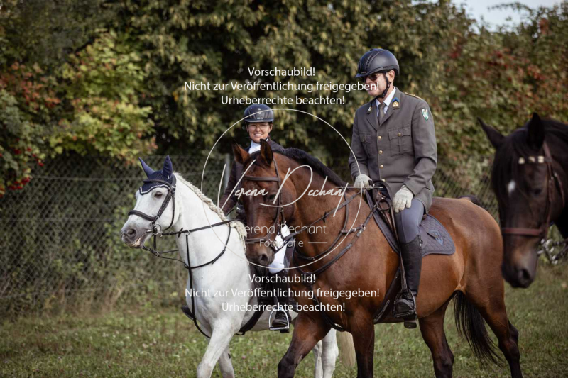 Gundelsdorf1_2025_68 Gundelsdorf1_2025_68