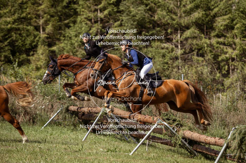 Gundelsdorf1_2025_69 Gundelsdorf1_2025_69