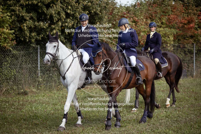 Gundelsdorf1_2025_70 Gundelsdorf1_2025_70