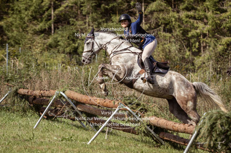 Gundelsdorf1_2025_71 Gundelsdorf1_2025_71