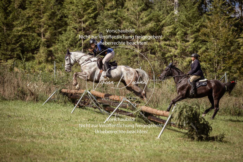 Gundelsdorf1_2025_73 Gundelsdorf1_2025_73