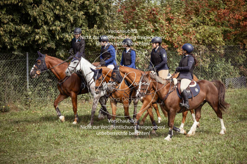 Gundelsdorf1_2025_74 Gundelsdorf1_2025_74