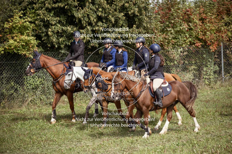 Gundelsdorf1_2025_75 Gundelsdorf1_2025_75