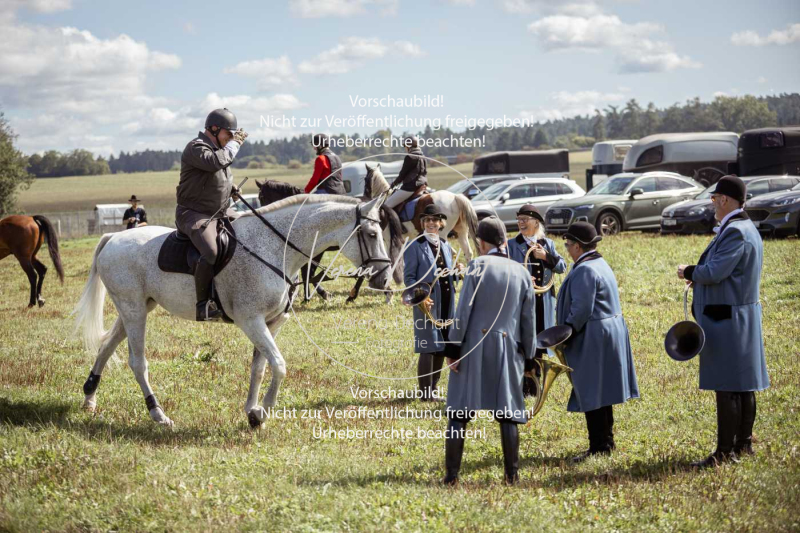 Gundelsdorf1_2025_77 Gundelsdorf1_2025_77