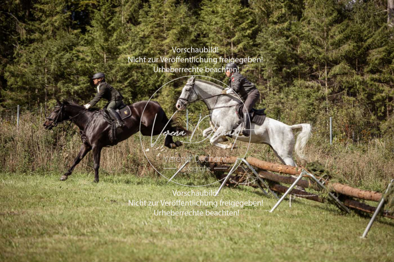 Gundelsdorf1_2025_78 Gundelsdorf1_2025_78