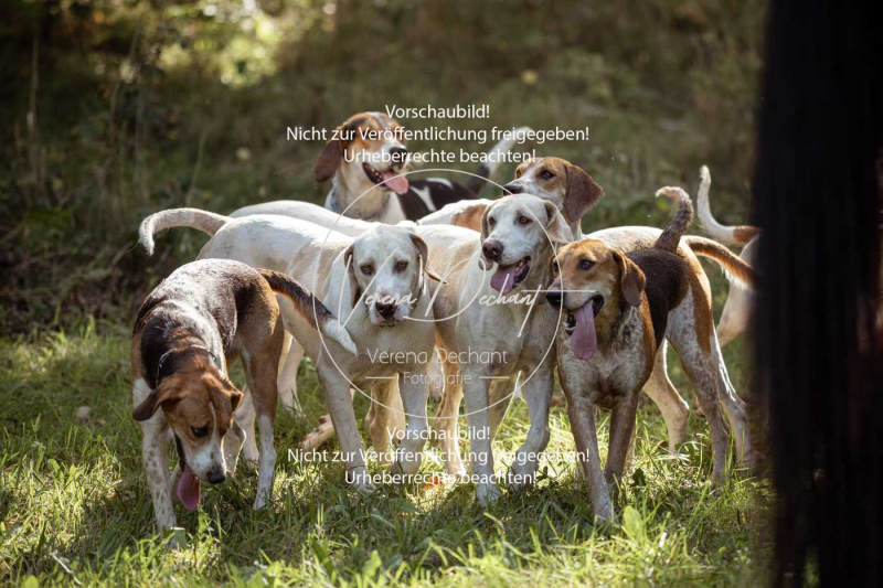 Gundelsdorf1_2025_8 Gundelsdorf1_2025_8